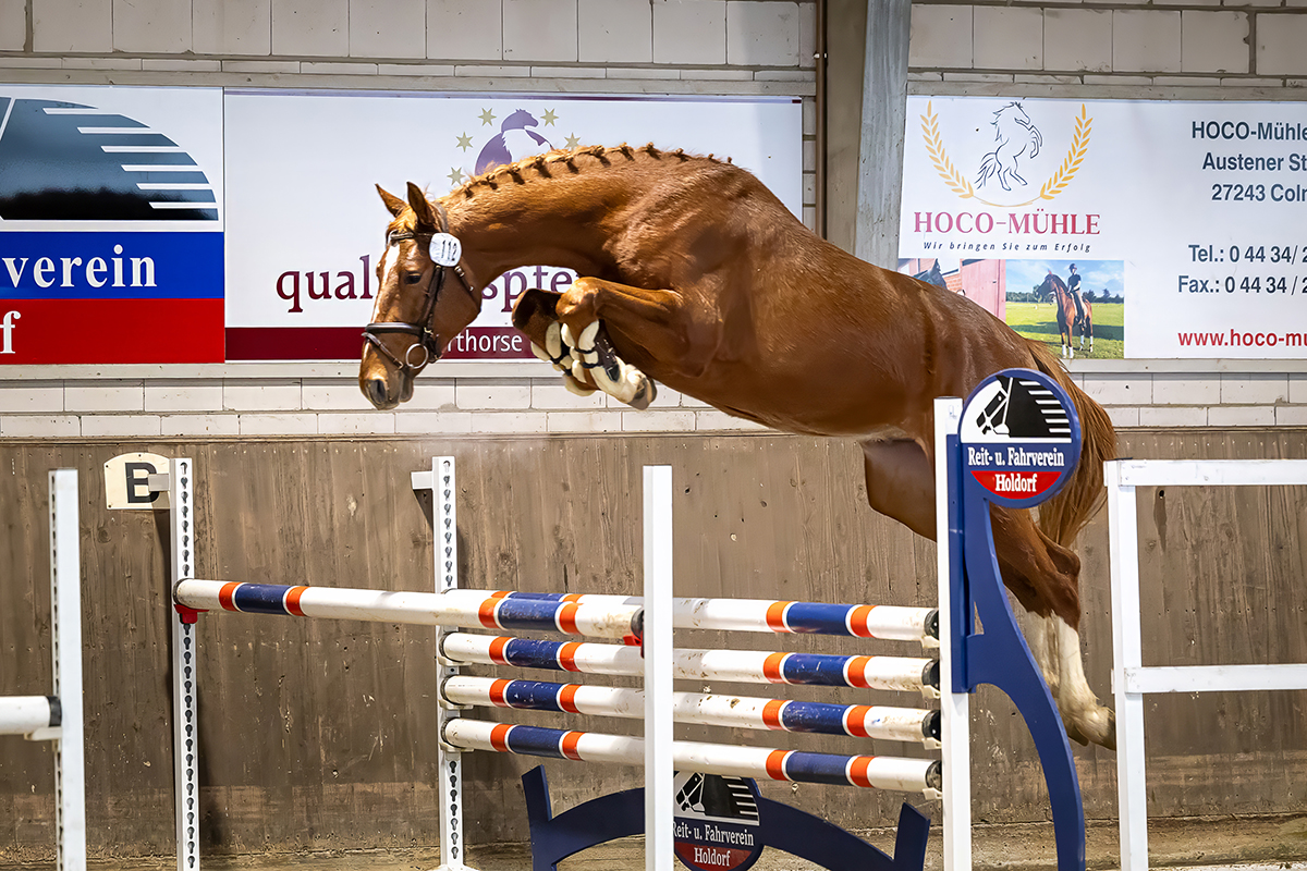 25 RuF Holdorfer Frei-Spring-Championat.